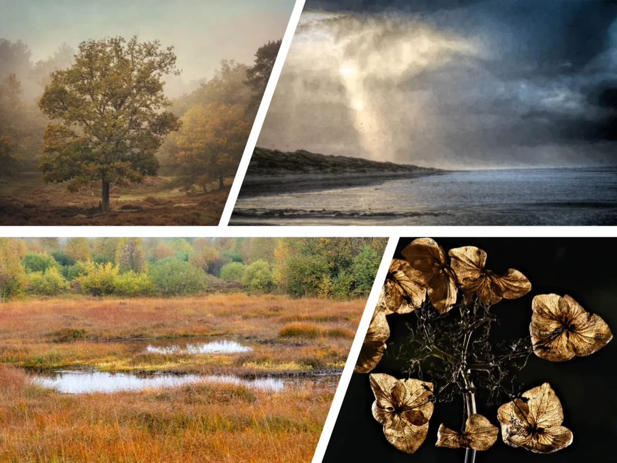 Collage_FKE_landschap